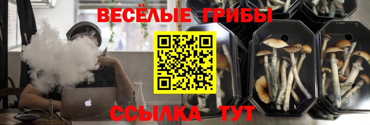 Галлюциногенные грибы Magic Shrooms  Вход с VPN  Биробиджан 